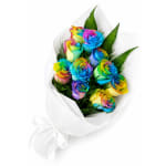 Rainbow Roses - Standard