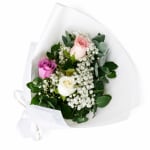 Rambling Roses - Standard