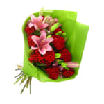 Extraordinary - Standard