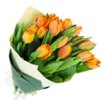 Orange Tulips - Standard
