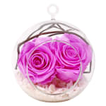 Baby Lily Rose Orb - Standard