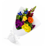 Little Bright Blooms - Deluxe