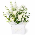 White Enchantment Box - Standard