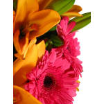 Fun, Bright Bouquet - Premium