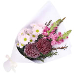 Little Lilac Fantasy - Deluxe