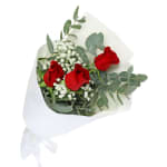 Rambling Roses - Standard