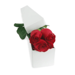Single Elegant Rose Box - Standard