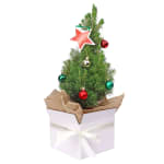 Gift Boxed Christmas Tree  - Standard