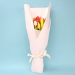Tulip Bouquet - Standard