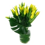 Sweet Simplicity - Deluxe