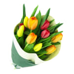 Mixed Bright Tulips Bunch - Standard