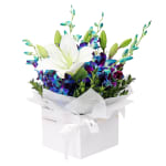 Blue Making Magic Posy Box - Premium
