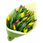 Mixed Bright Tulips Bunch - Standard