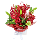 Making Xmas Magic Red & White - Standard