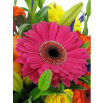 Vivacious Mixed Brights Flower Box - Deluxe