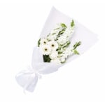 Furry Friends Posy - Standard