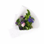 A New Day Pink Posy - Standard