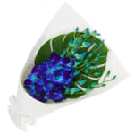 Blue Orchid Bunch - Standard
