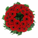 Daisy Chain Wreath - Standard