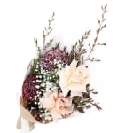 Little Elegant Fantasy - Standard