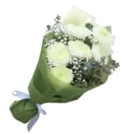 Darling Disbuds - Standard