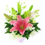 Making Magic Posy Box  - Standard