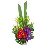 Resplendent Rainforest - Standard