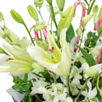 Making White Christmas Magic - Standard