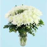 Chrysanthemum Vase - Standard