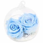 Preserved Blue Rose Orb - Standard