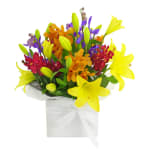 Making Magic - Mixed Brights - Standard