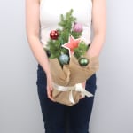 Living Potted Christmas Tree - Premium