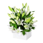Pure Elegance White Lily Flower Box - Standard