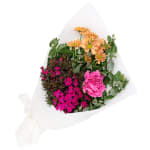Sweet Petite Bunch - Standard
