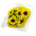 Sunflowers - Premium