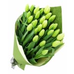 White Tulip Bunch - Standard