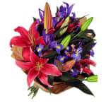 Pinks and Blues - Premium