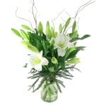 Peace On Earth - Deluxe