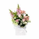 Colourburst Bloom Box - Standard