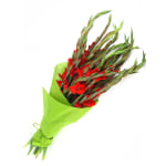 Gladioli Bunch - Standard
