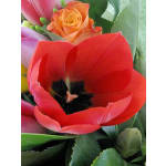 Bright Scented Bouquet - Standard