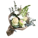 Pretty Little Thing - Standard