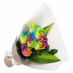 Rainbow Roses - Standard