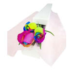 Rainbow Rose Trio - 12 Roses (One Dozen)