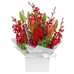 Making Christmas Magic - Deluxe