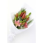 Lily Lady - Standard