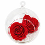 Preserved Red Rose Orb - Standard