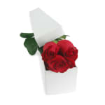 Single Elegant Rose Box - Standard