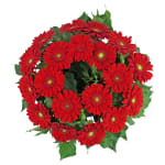 Daisy Chain Wreath - Standard