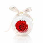 Preserved Red Rose Orb - Standard